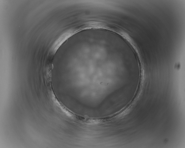 X0000114621385200911171048