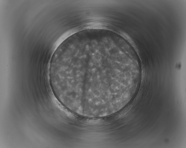 X0000114621386200911171048