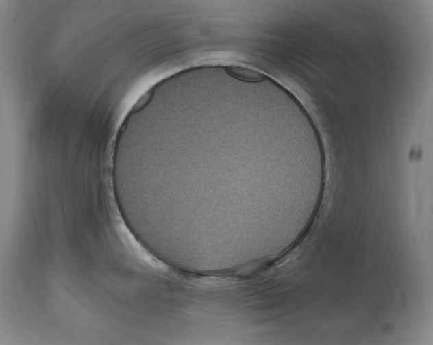 X0000114621392200911171048