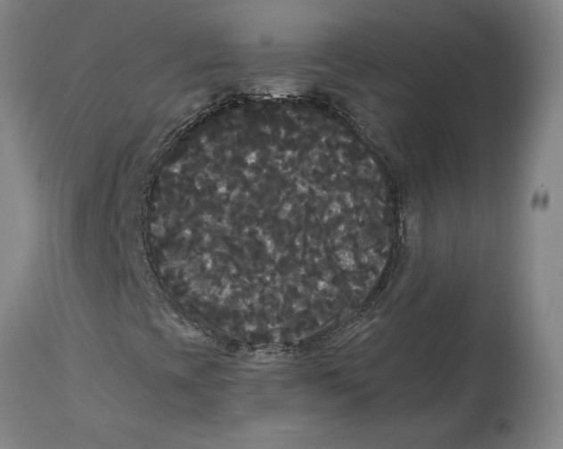 X0000114621393200911171047