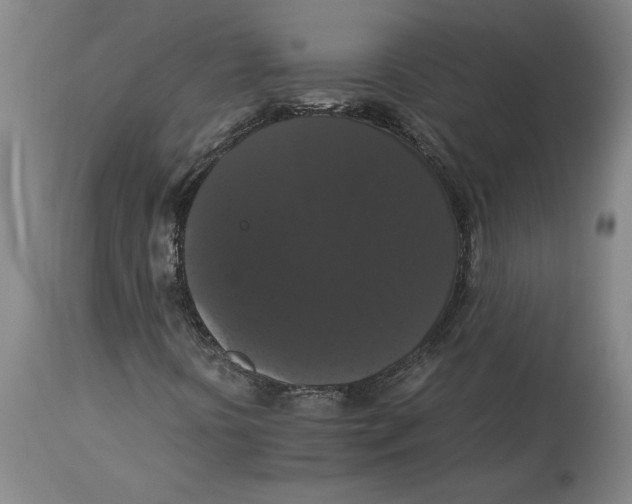 X0000114621394200911171047
