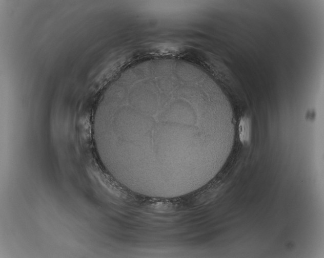 X0000114621395200911171047