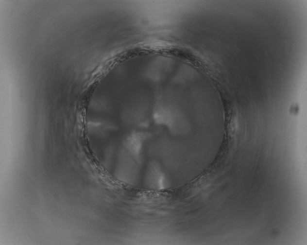 X0000114621397200911171047
