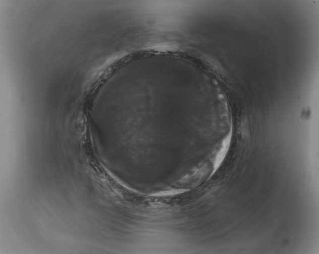 X0000114621398200911171047