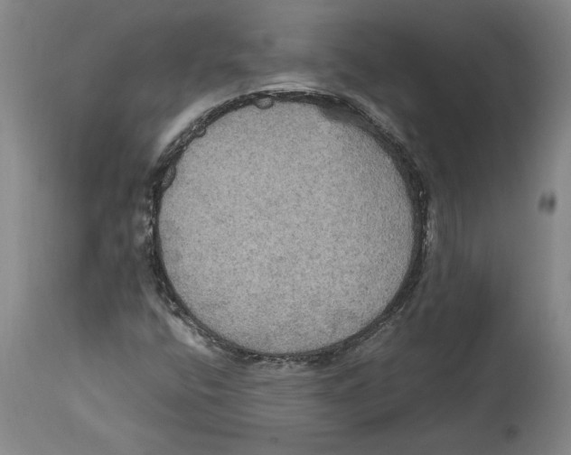 X0000114621400200911171047