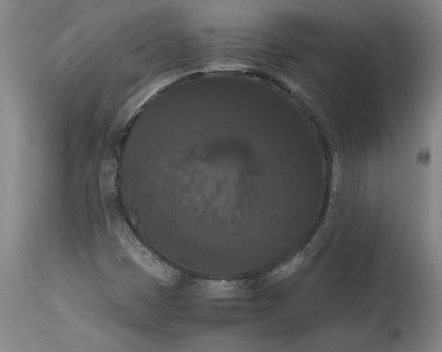X0000114621401200911171047