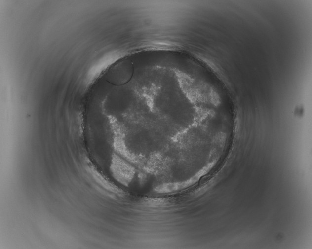 X0000114621402200911171047