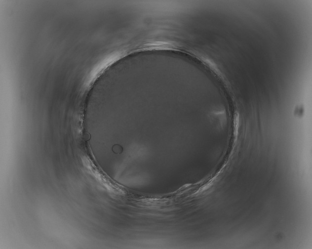 X0000114621405200911171047