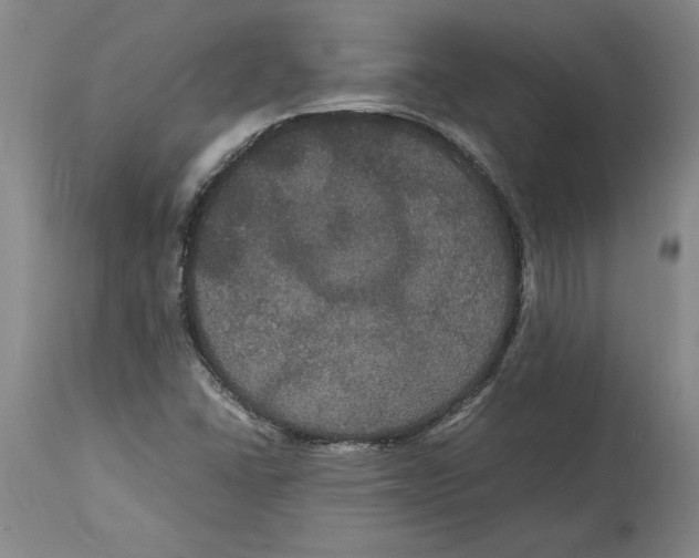 X0000114621406200911171047
