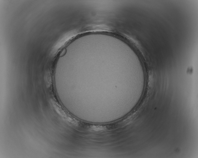 X0000114621407200911171047