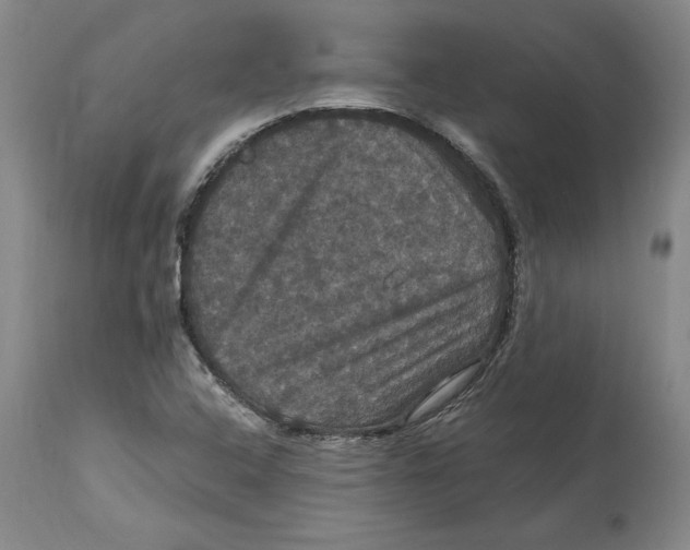 X0000114621408200911171047