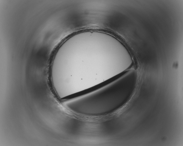 X0000114621410200911171047
