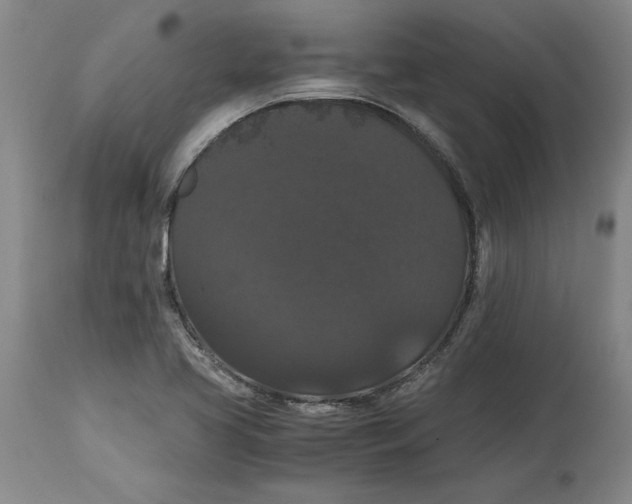 X0000114621413200911171047