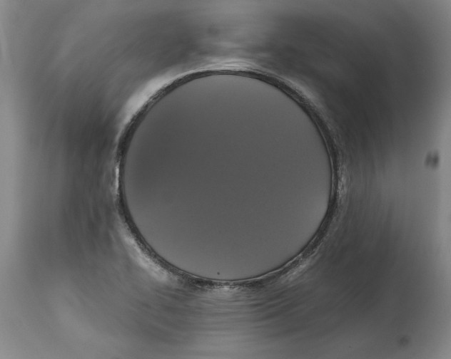 X0000114621414200911171047