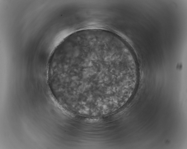 X0000114621415200911171047