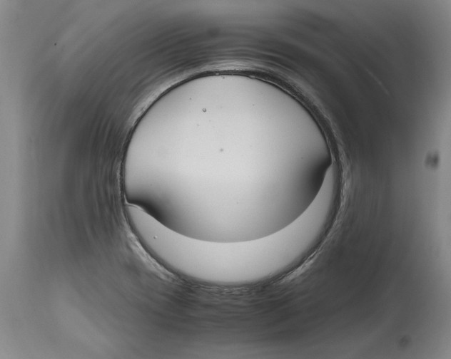 X0000114621417200911171047