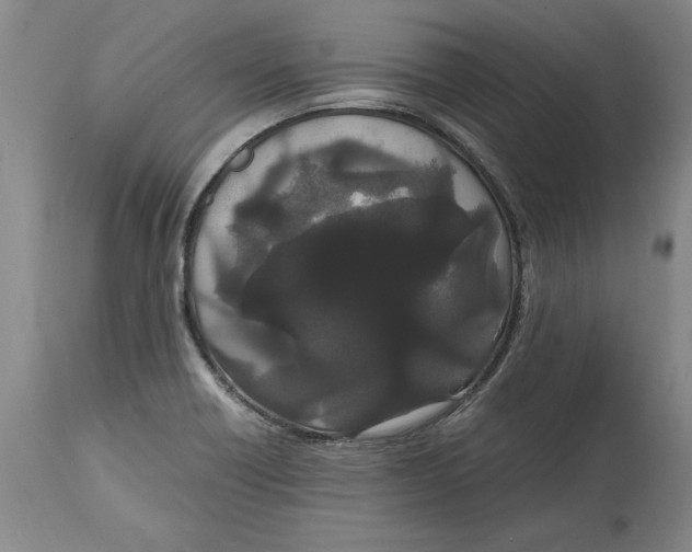 X0000114621418200911171047