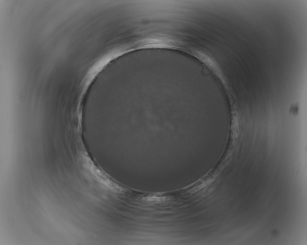 X0000114621419200911171047