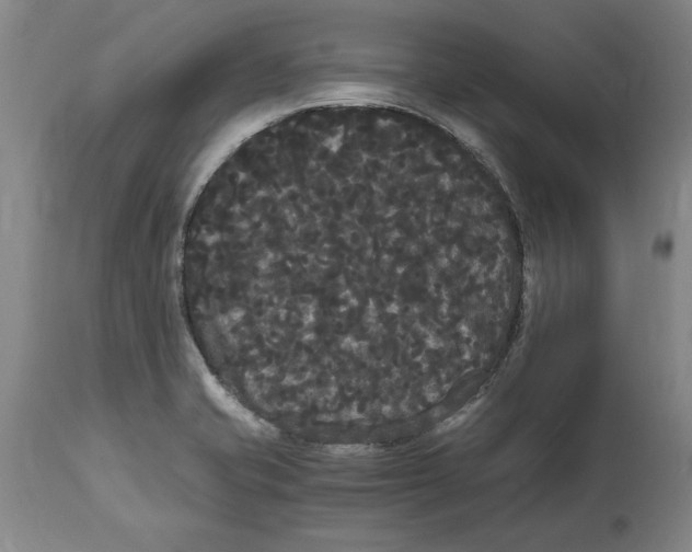 X0000114621421200911171048