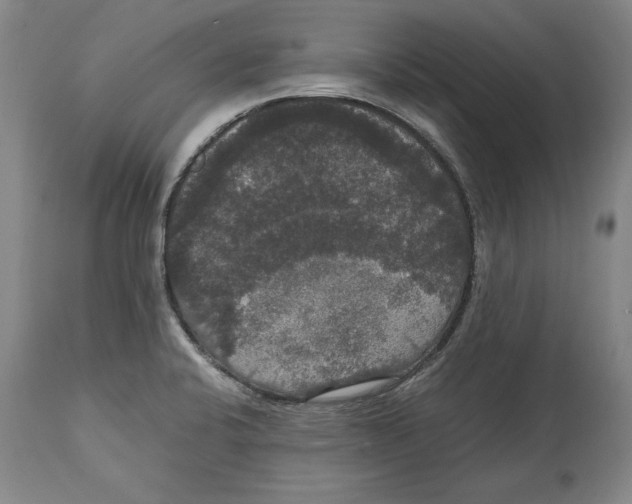 X0000114621424200911171048