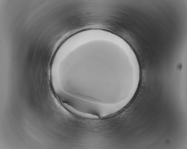 X0000114621428200911171048