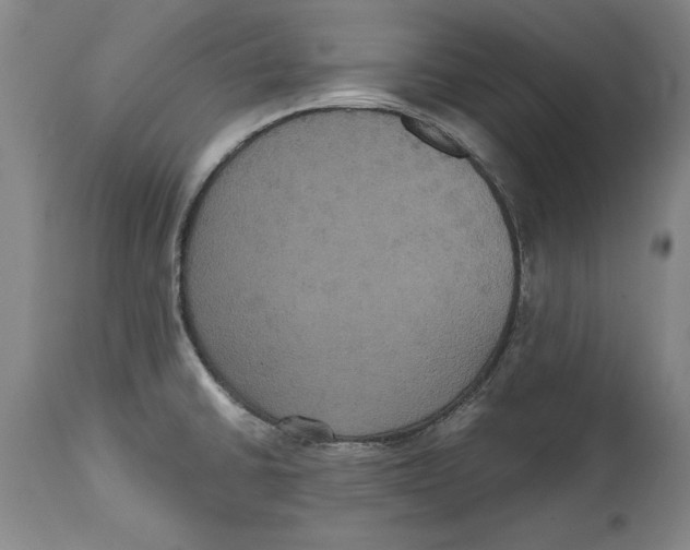 X0000114621430200911171048