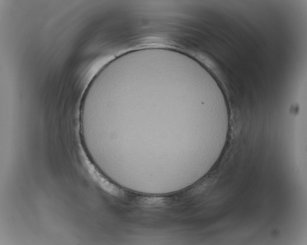 X0000114621431200911171048