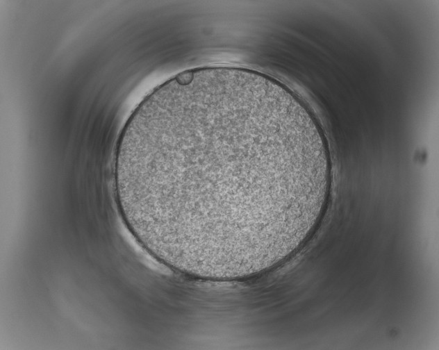 X0000114621432200911171048