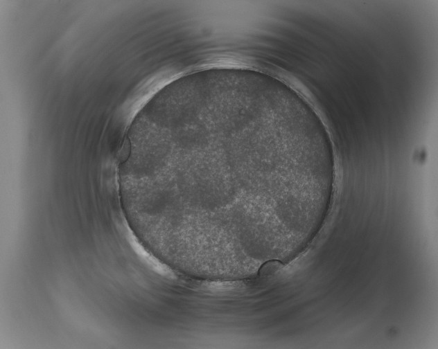 X0000114621433200911171048