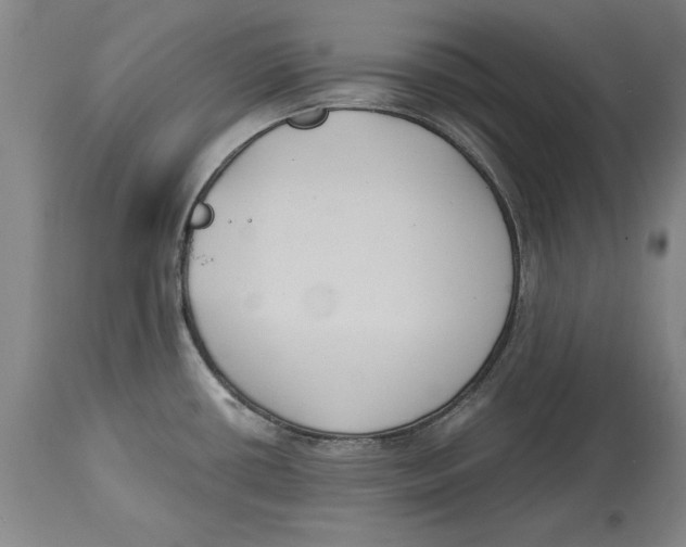 X0000114621434200911171048