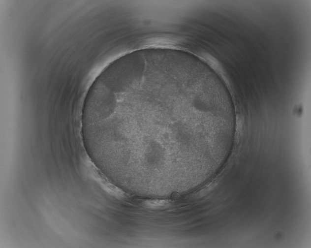 X0000114621435200911171048