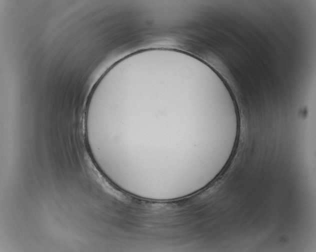 X0000114621436200911171048