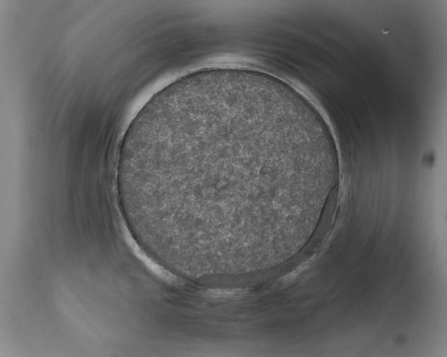X0000114621437200911171048