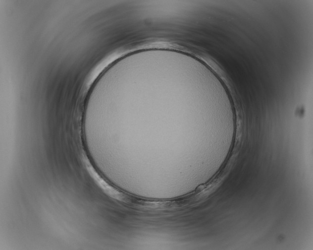 X0000114621438200911171048