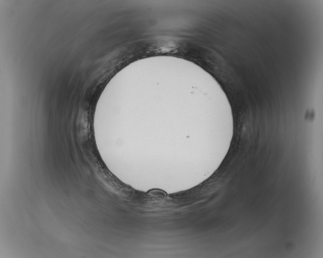 X0000114621442200911171047
