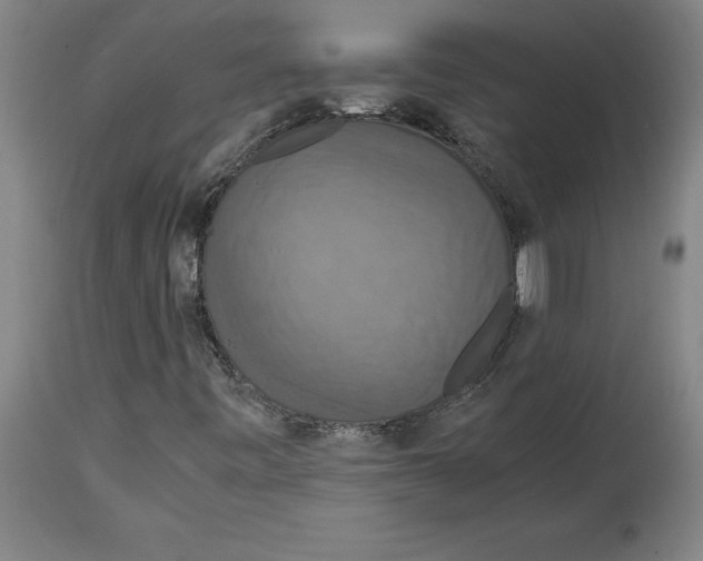 X0000114621443200911171047