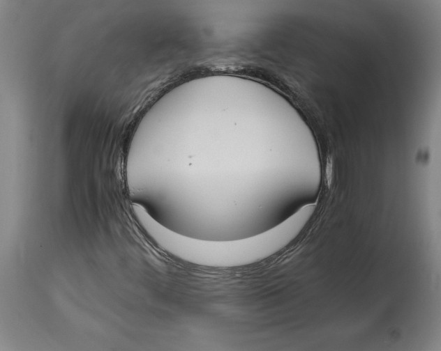 X0000114621444200911171047