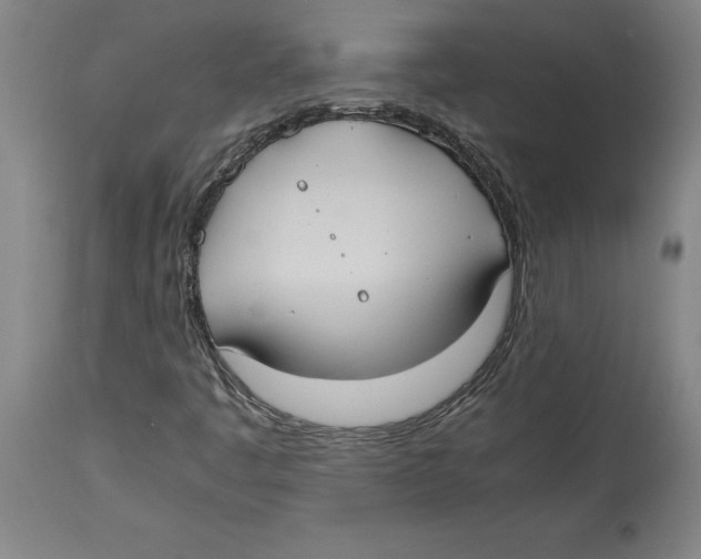 X0000114621445200911171047