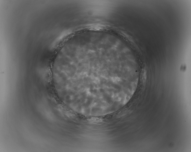 X0000114621446200911171047