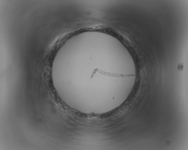 X0000114621447200911171047