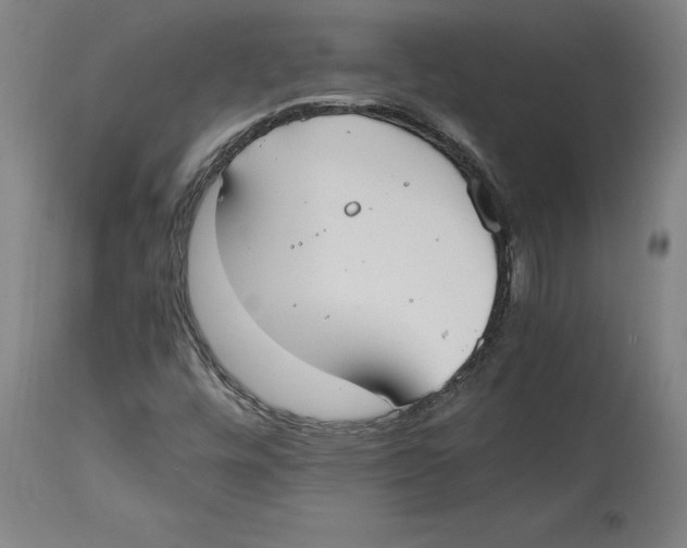 X0000114621448200911171047