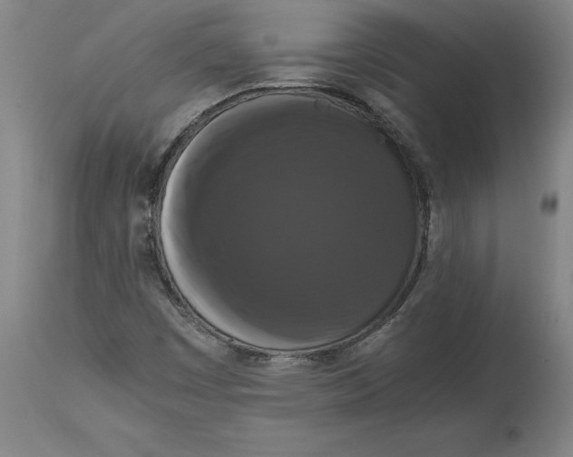X0000114621449200911171047