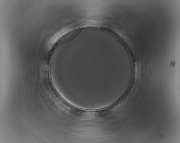X0000114621453200911171047