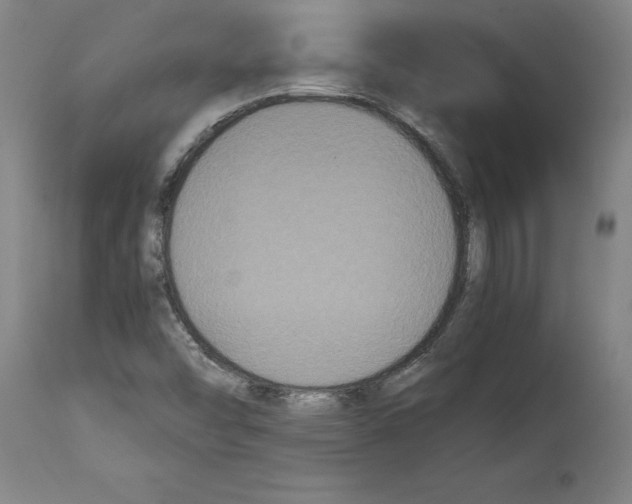 X0000114621454200911171047