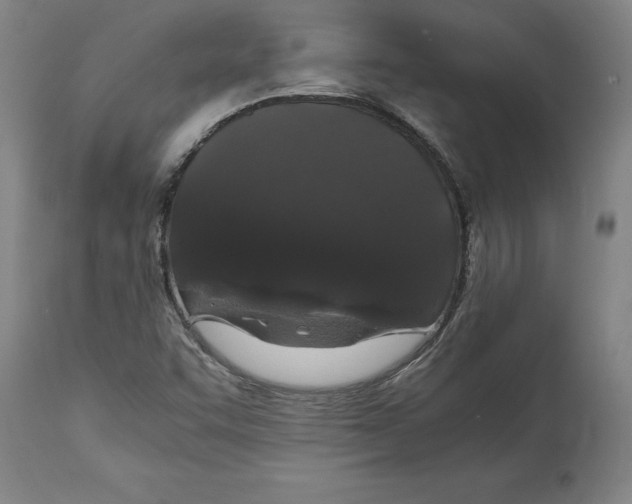 X0000114621455200911171047