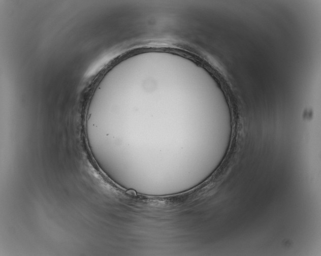 X0000114621456200911171047