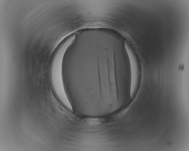 X0000114621457200911171047