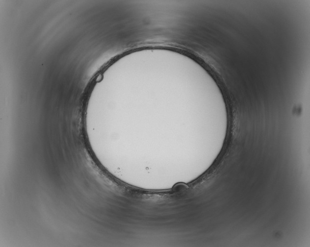 X0000114621458200911171047
