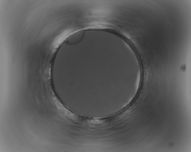 X0000114621459200911171047