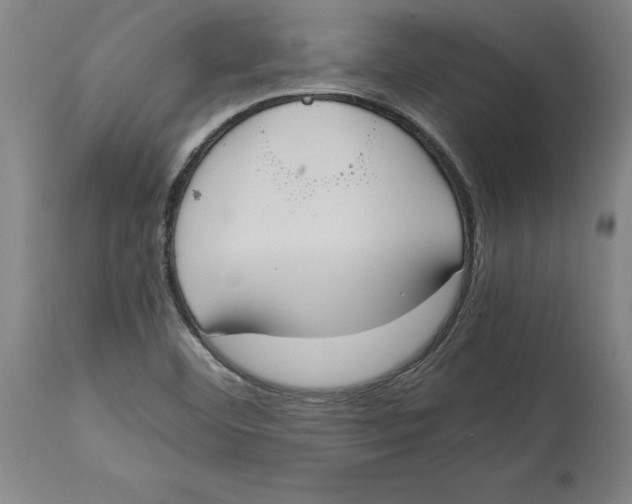 X0000114621460200911171047